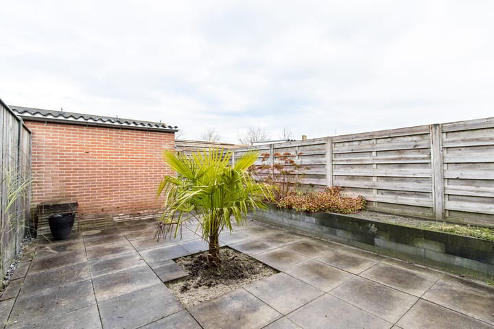 Foto 45 van Dokter van Wieringenstraat 3