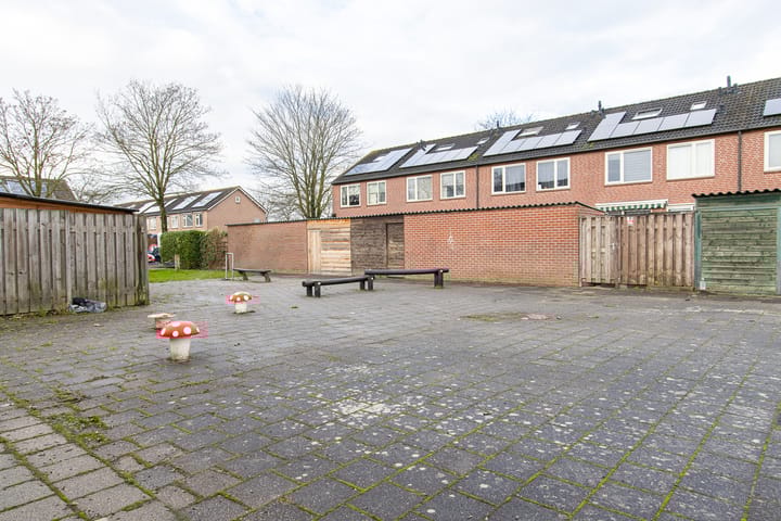 Foto 50 van Dokter van Wieringenstraat 3