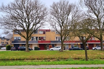 Boksdoornstraat thumbnail