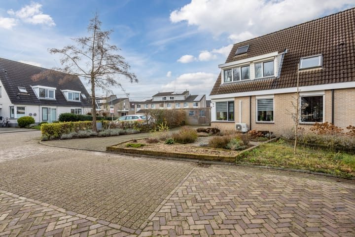 Foto 51 van De Wrongel 24