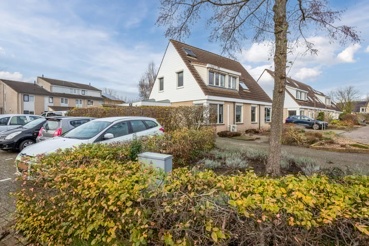 Foto 52 van De Wrongel 24