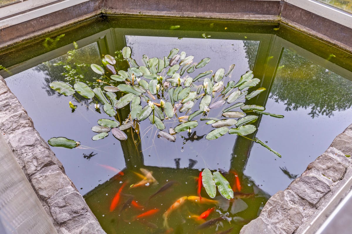 Foto 24 van Vondellaan 116