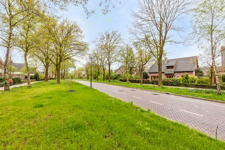 Foto 35 van Vondellaan 116