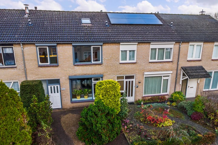 Foto 2 van Heilige Stoel 5203