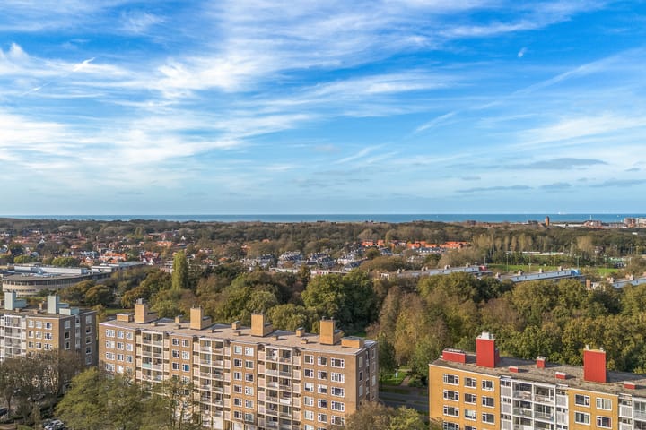 Foto 61 van Segbroeklaan 216