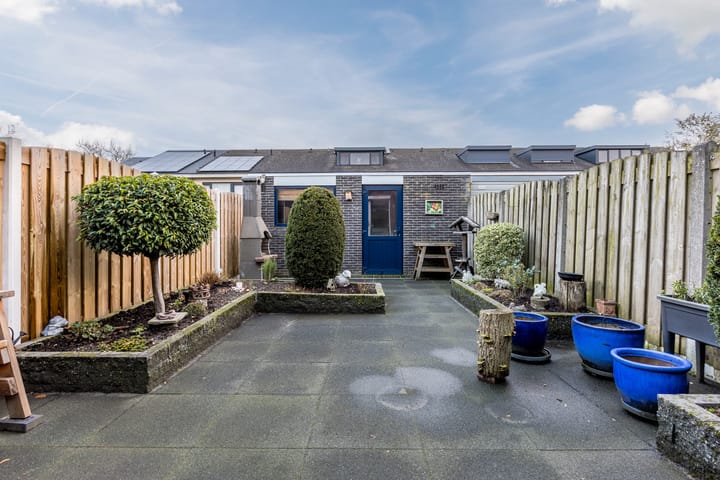 Foto 4 van Kleine Vos 4