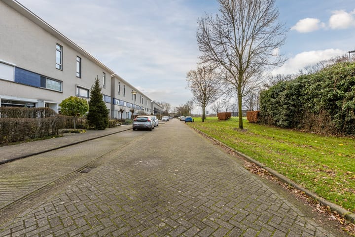 Foto 5 van Kleine Vos 4