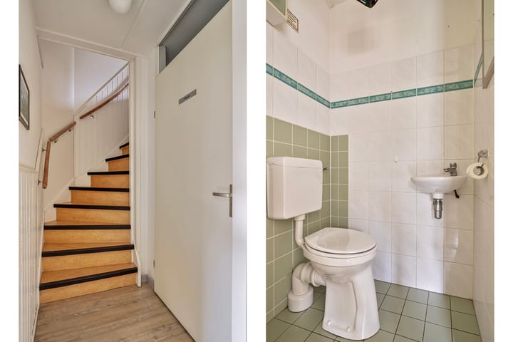 Foto 13 van Kleine Vos 4