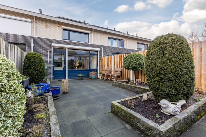 Foto 24 van Kleine Vos 4