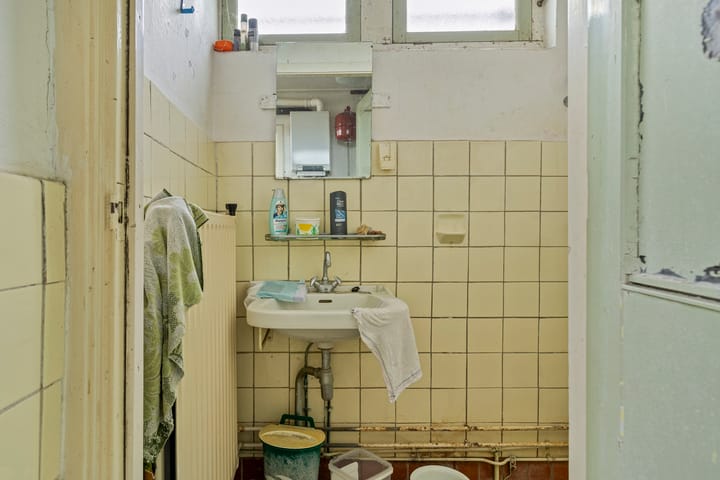 Foto 7 van Wildervanksterdallen 3