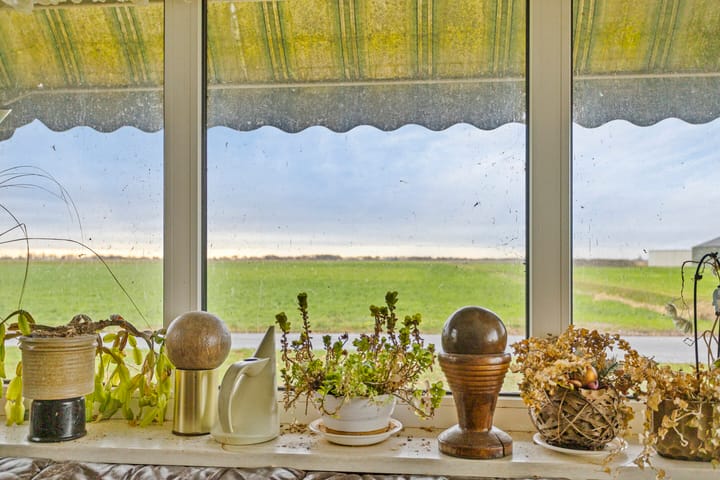 Foto 20 van Wildervanksterdallen 3