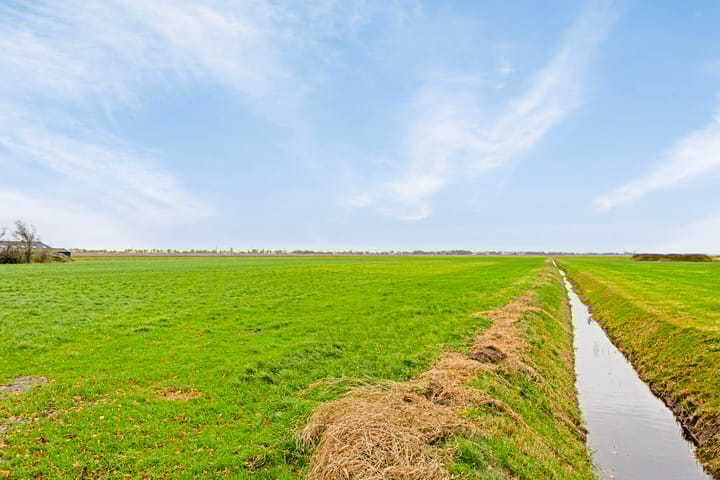 Foto 41 van Wildervanksterdallen 3