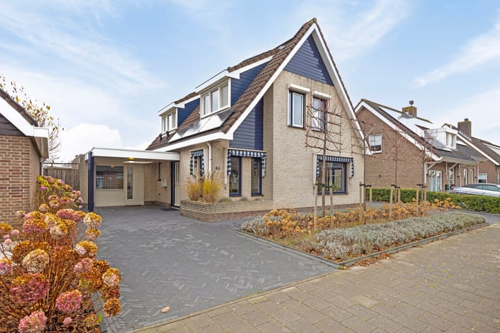 Photo 1 of 't Hooft 46