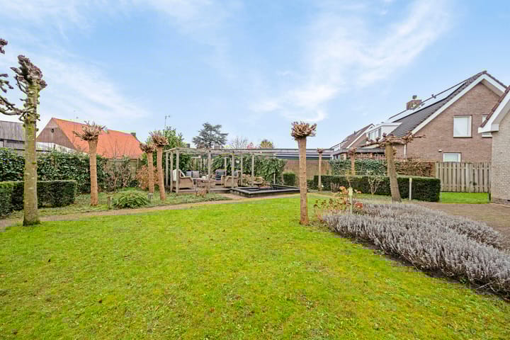 Photo 34 of 't Hooft 46