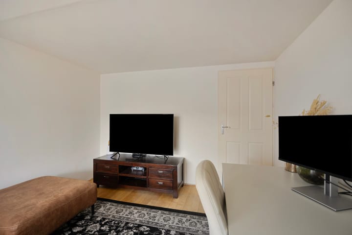 Photo 17 of 't Hooft 46