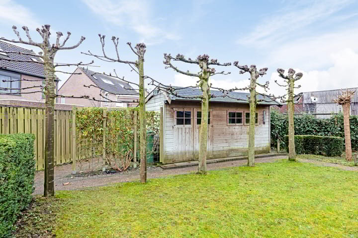 Photo 29 of 't Hooft 46