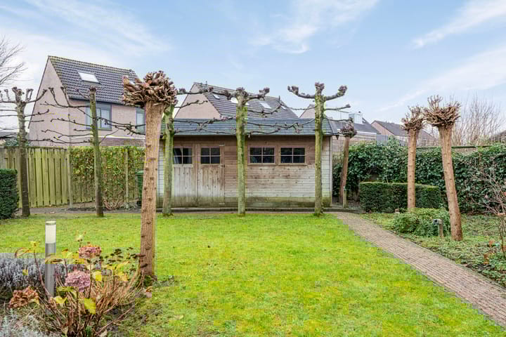 Photo 35 of 't Hooft 46