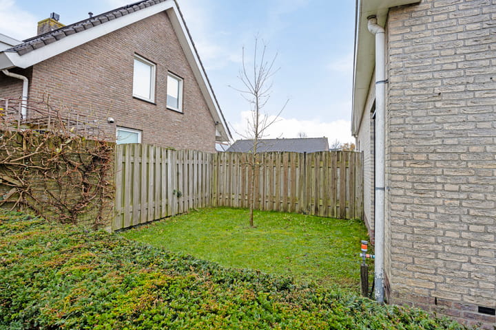 Photo 37 of 't Hooft 46