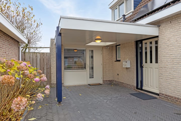 Photo 38 of 't Hooft 46