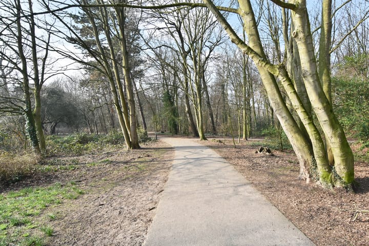 Foto 37 van Mozartlaan 62