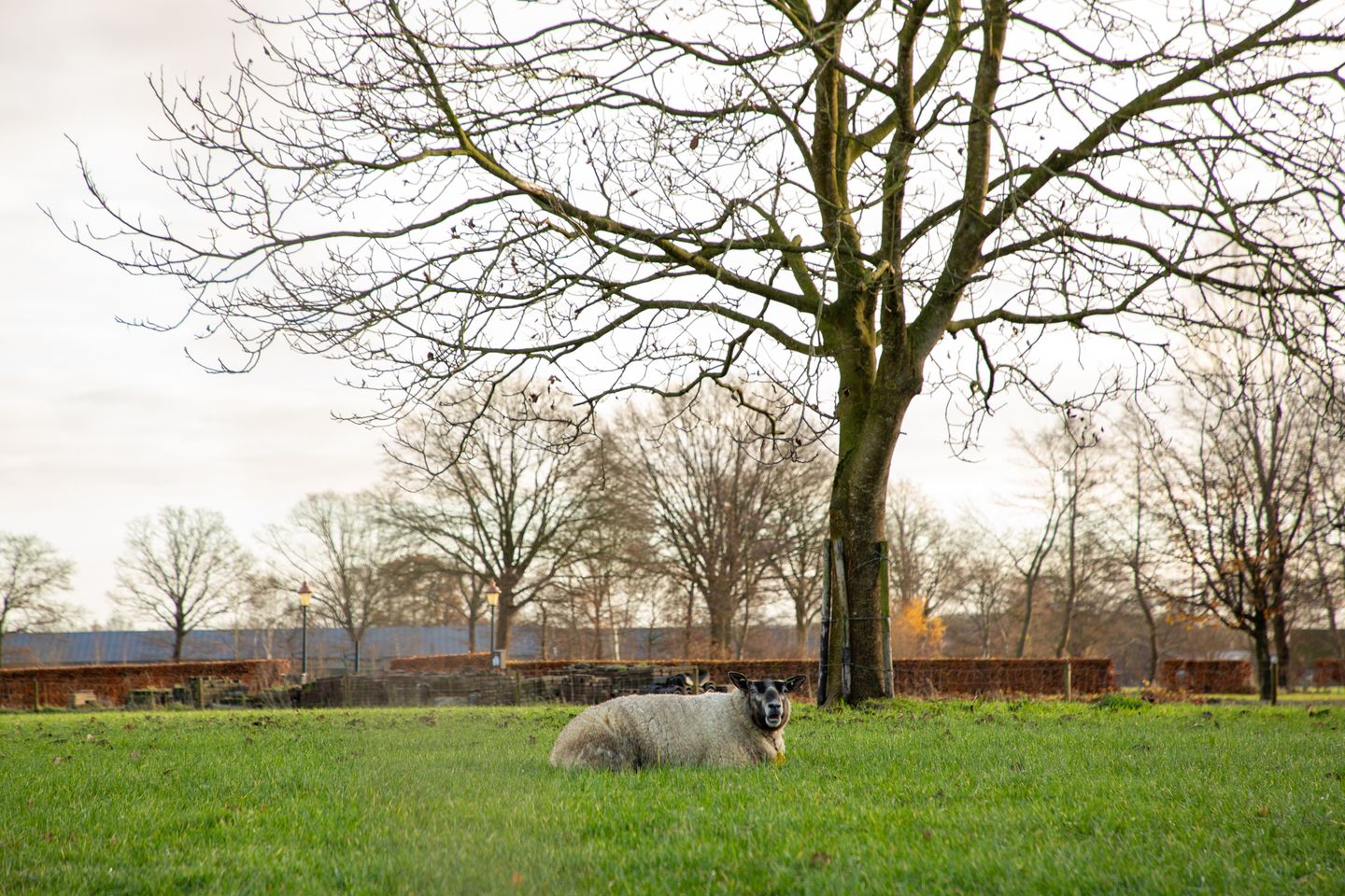 Photo 70 of Vrakkinkweg 5-A