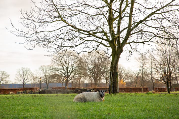 Foto 70 van Vrakkinkweg 5-A