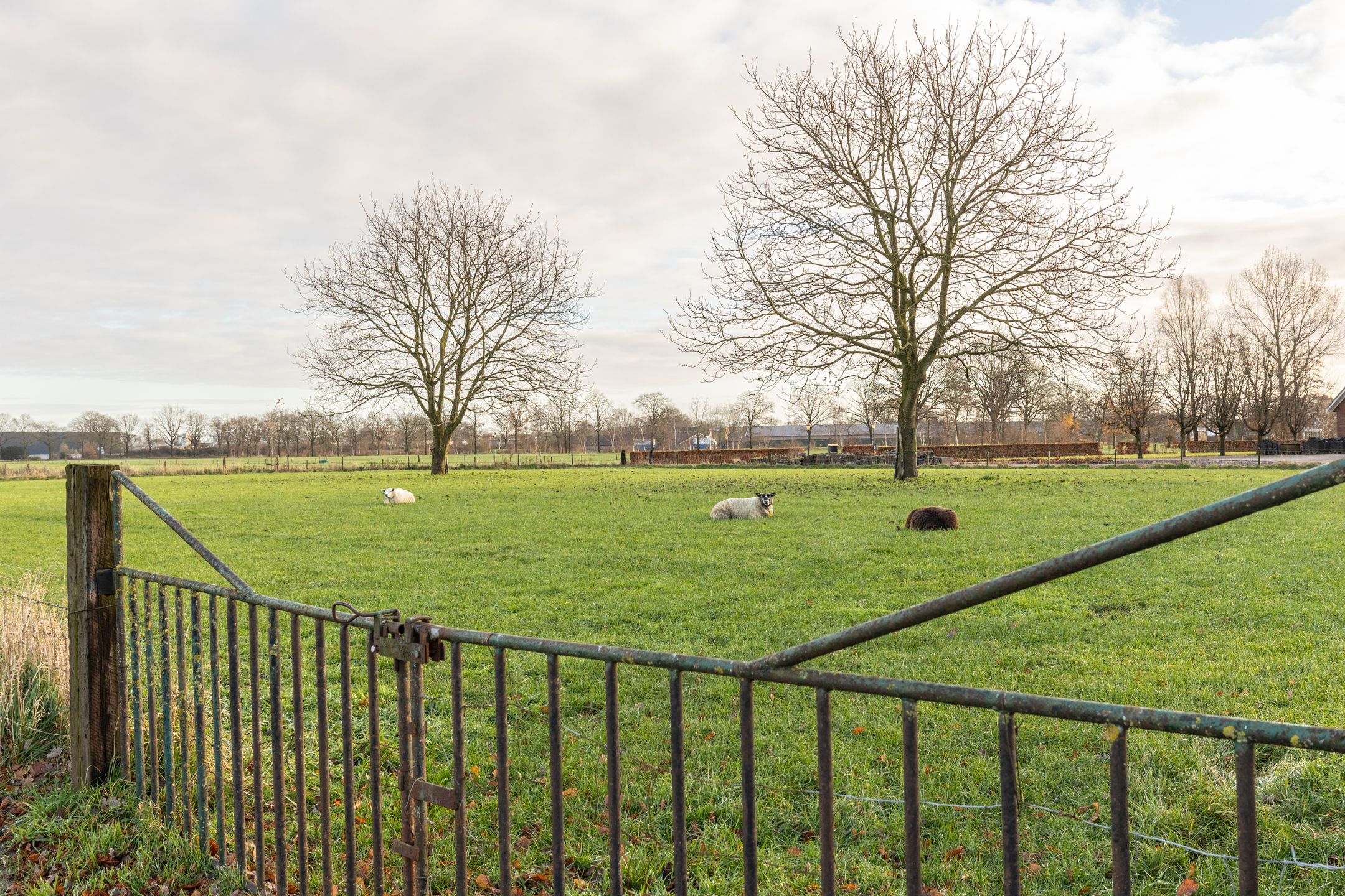 Photo 72 of Vrakkinkweg 5-A