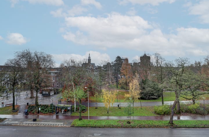 Photo 10 of Kronenburgersingel 323