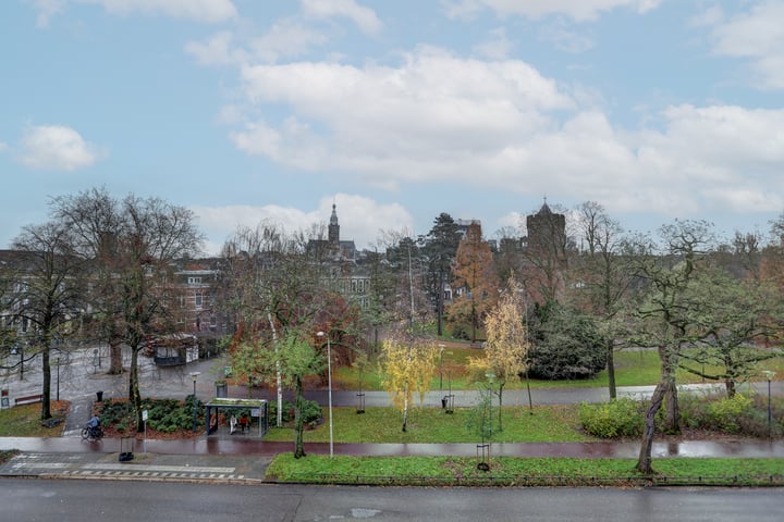 Bekijk foto 10 van Kronenburgersingel 323