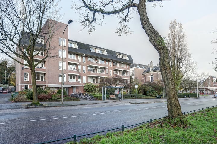 Bekijk foto 19 van Kronenburgersingel 323