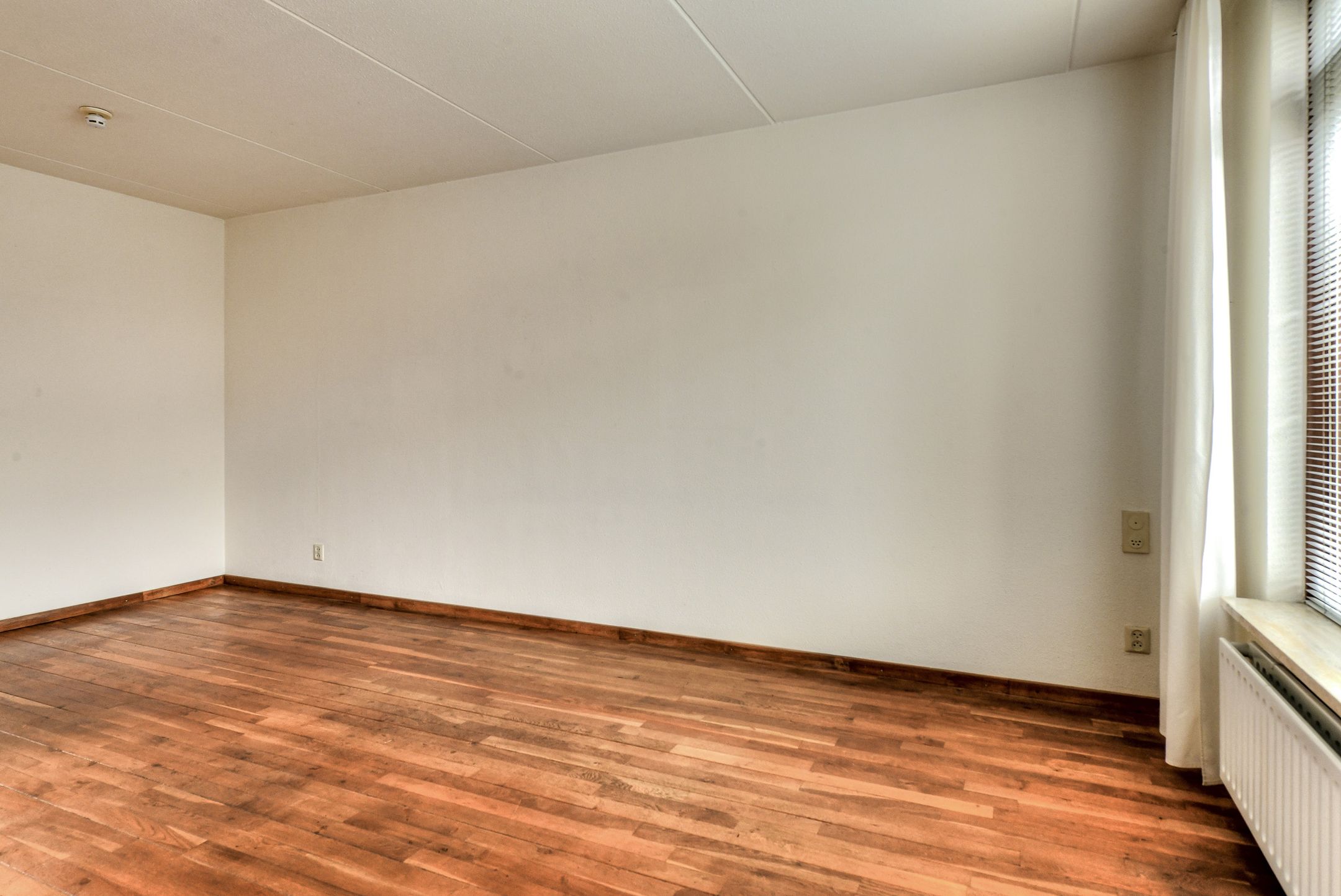 Photo 12 of Van Reesstraat 2-A