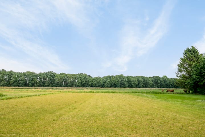 Foto 17 van Tranendallaan 8