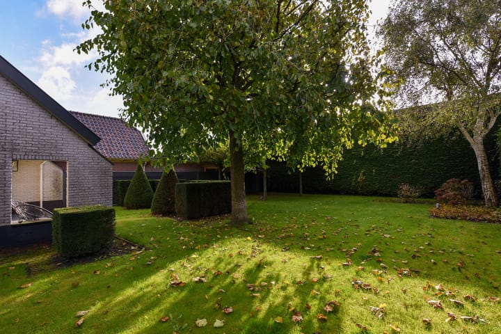 Foto 37 van Koewijzend 22-A