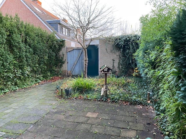 Foto 3 van Van Reesstraat 37