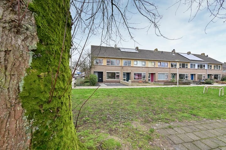 Foto 28 van de Werven 55