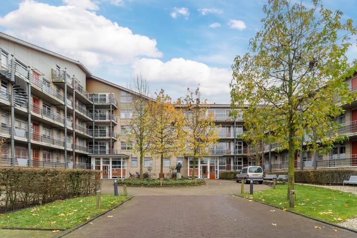 Foto 2 van Plecht 100