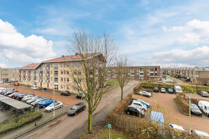 Foto 23 van Plecht 100