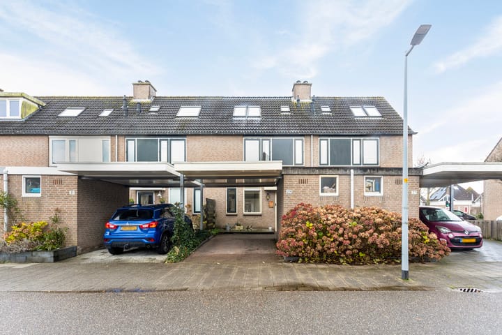 Foto 1 van Hunzebos 29