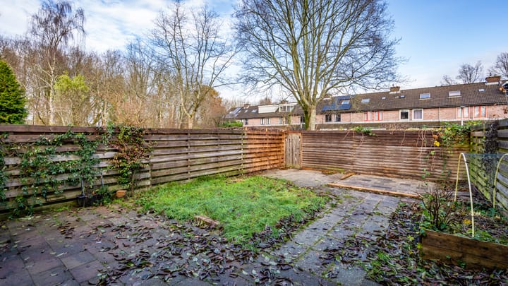 Foto 3 van Leemveld 46