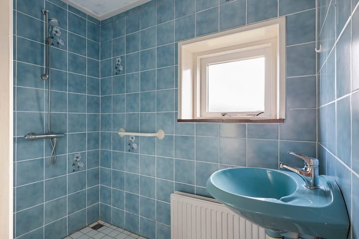 Foto 4 van Boarnsterdyk 51