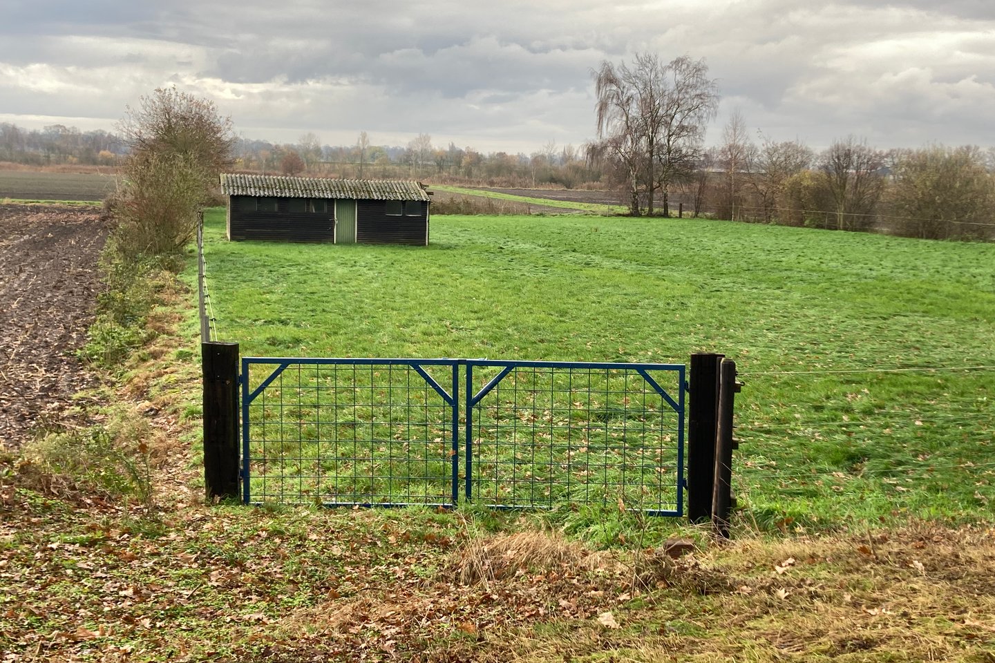 Bekijk foto 2 van Arenbos