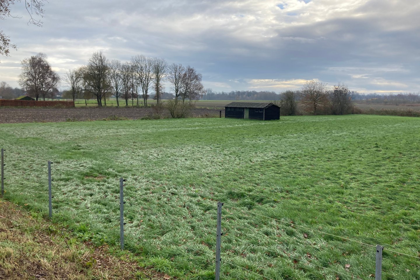 Bekijk foto 5 van Arenbos