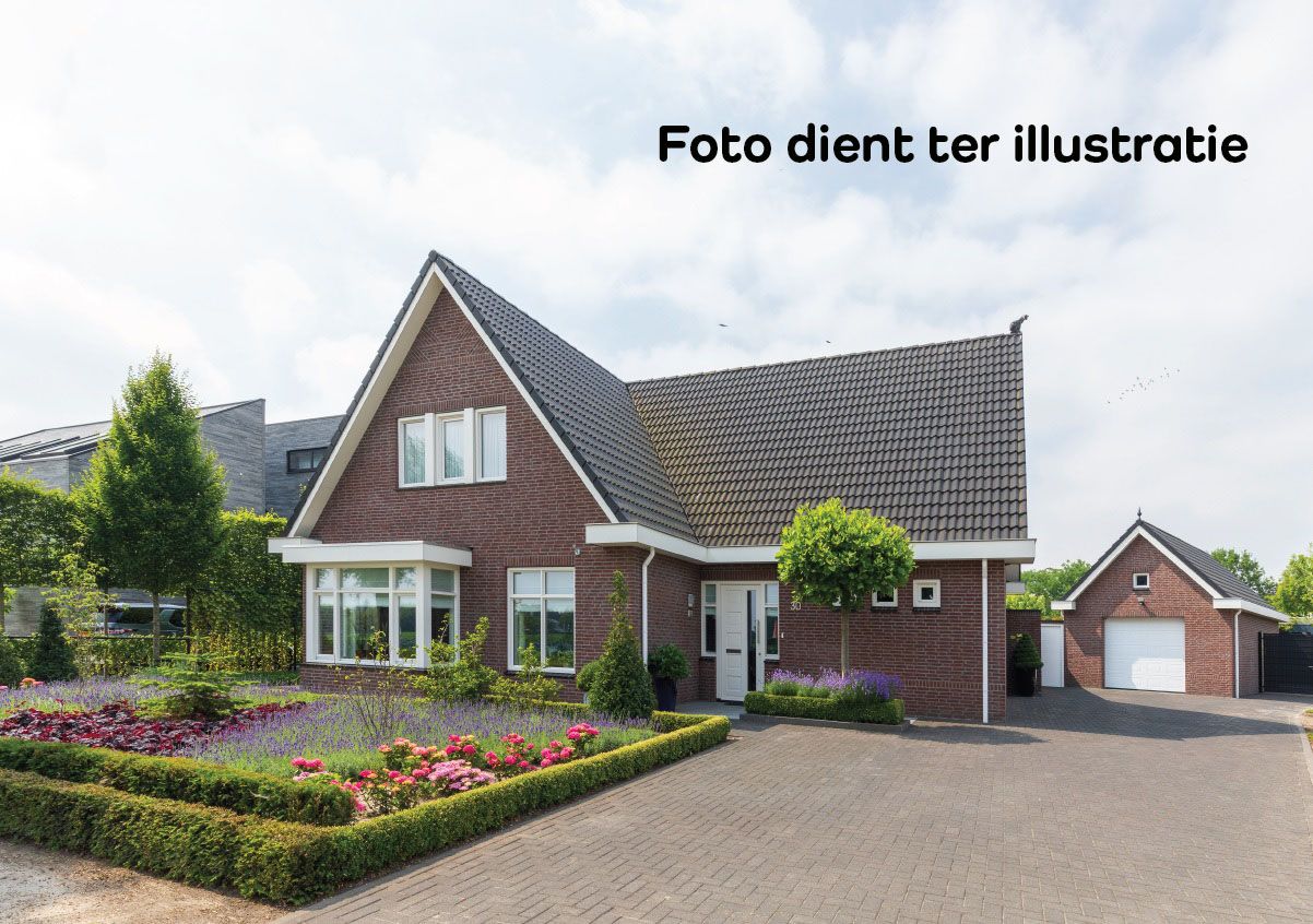 Zwartebessenstraat, Lewedorp, 4456CE, Zeeland, Nederland  