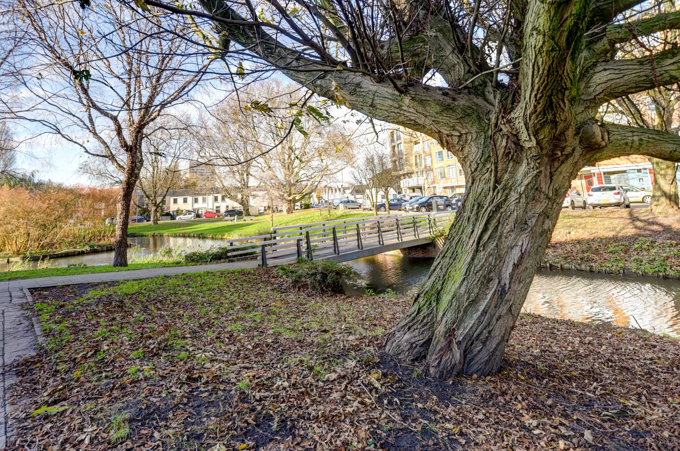 Foto 30 van Halleystraat 20-A