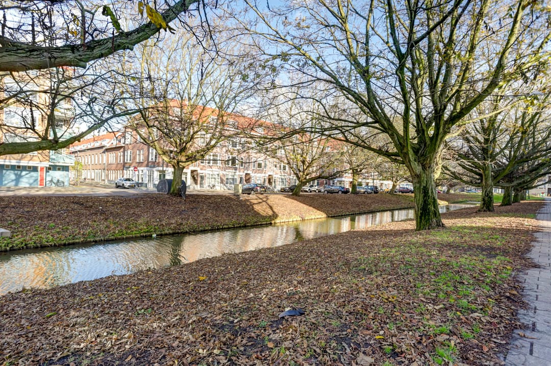 Foto 31 van Halleystraat 20-A