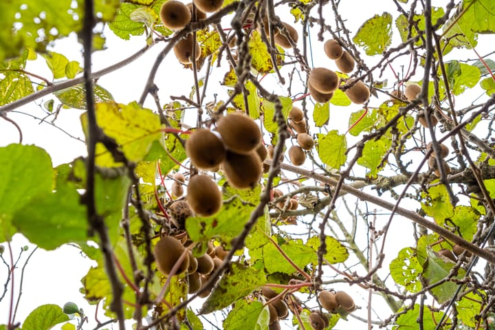 Foto 29 van Parallelweg 8