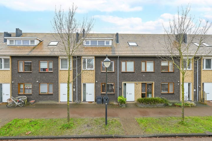 undefined main image
