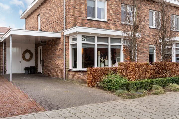 Foto 5 van Dovenetel 45