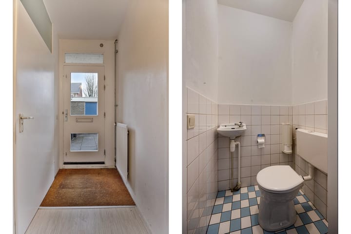 Foto 5 van Wollegras 14