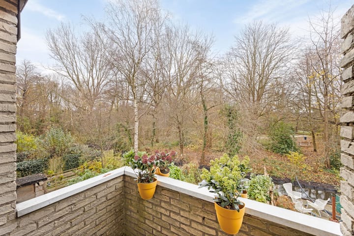 Foto 17 van Wollegras 14